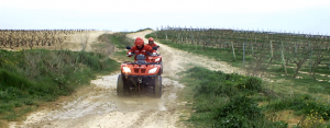 Ruta en quad en Rioja